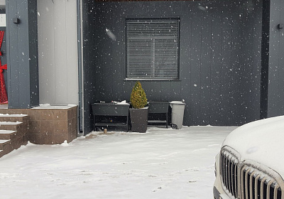 фото: Роллетная решетка с перфорацией "АЛЮТЕХ" 2000х2500